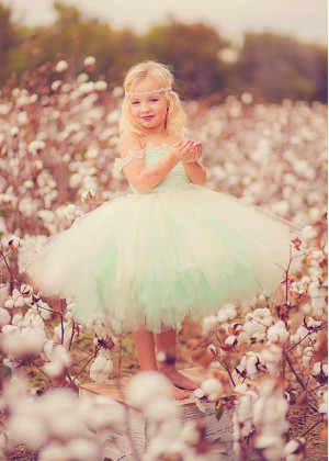 Off Shoulder Mint Tulle Ivory Lace Flower Girl Dress